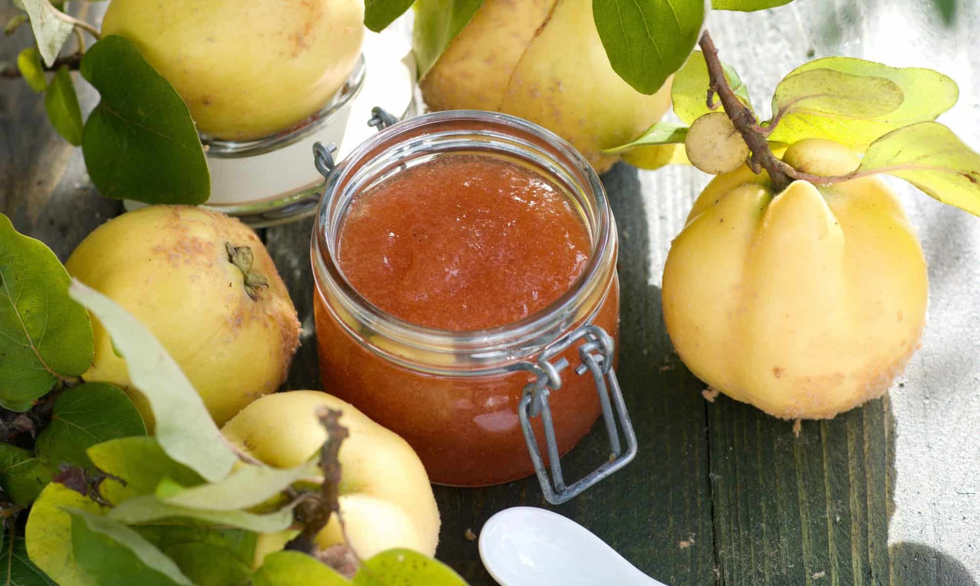 Quittenmarmelade – Rezept für den Thermomix®